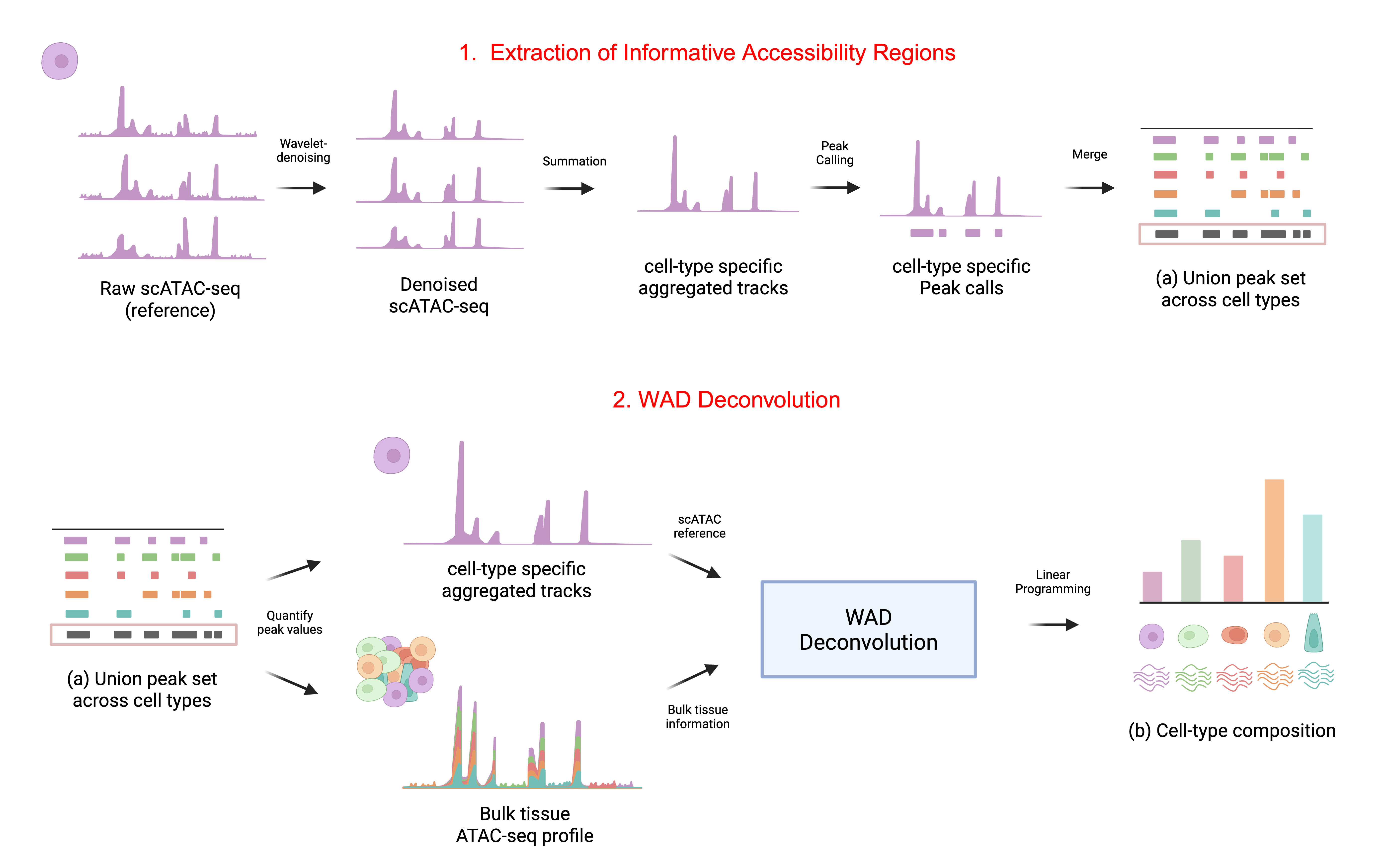 WAD: a wavelet-based linear programming method using L1-minimal reconstruction loss for accessible chromatin data deconvolution
